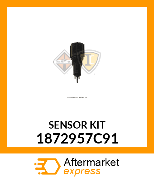 SENSORPROBE 1872957C91