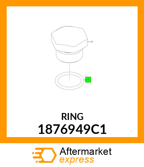 RING 1876949C1