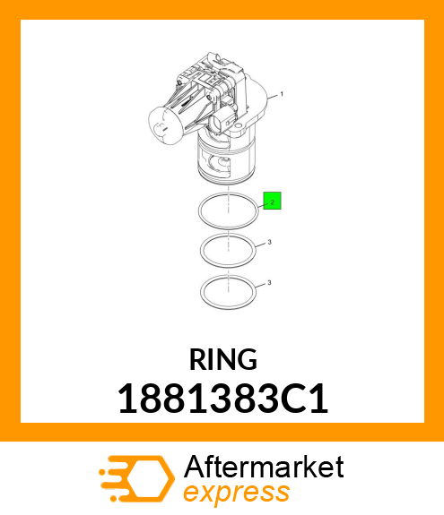 RING 1881383C1