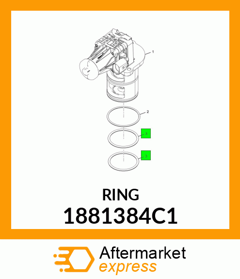 RING 1881384C1