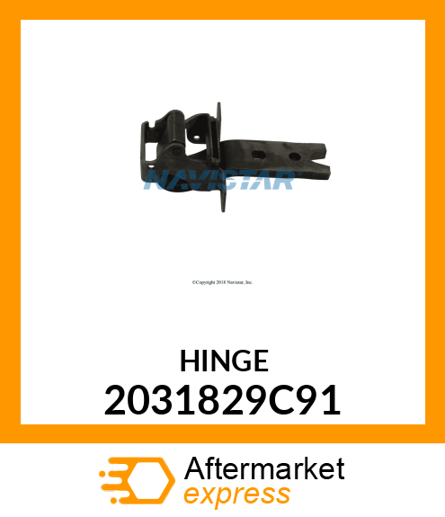 HINGE 2031829C91