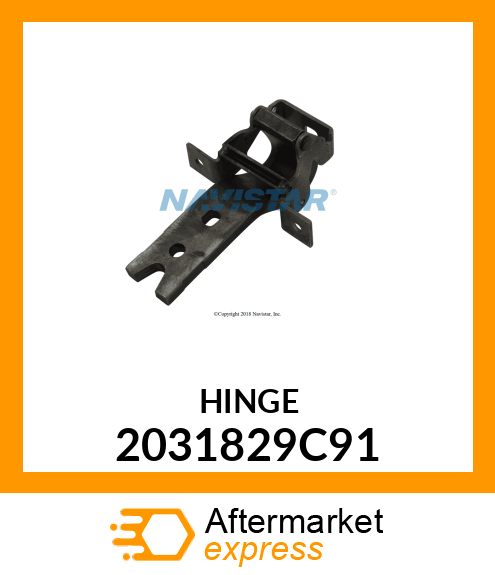 HINGE 2031829C91