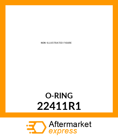 ORING 22411R1