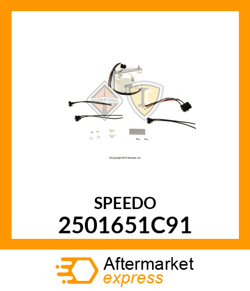 SPEEDOMETER 2501651C91