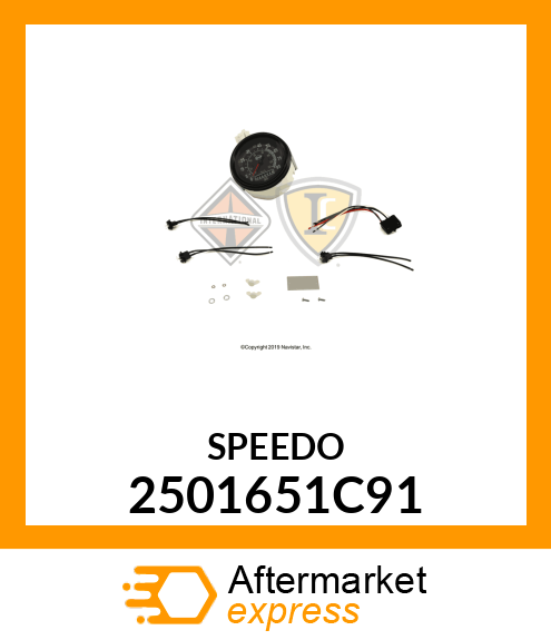 SPEEDOMETER 2501651C91