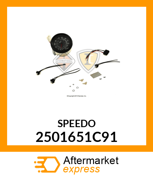 SPEEDOMETER 2501651C91