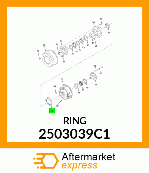 RING 2503039C1