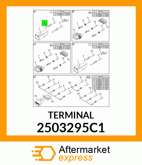 TERMINAL 2503295C1