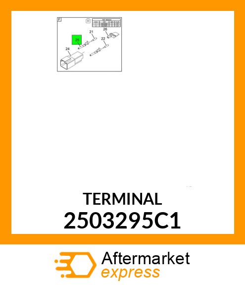 TERMINAL 2503295C1