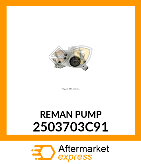 REMANPUMP 2503703C91