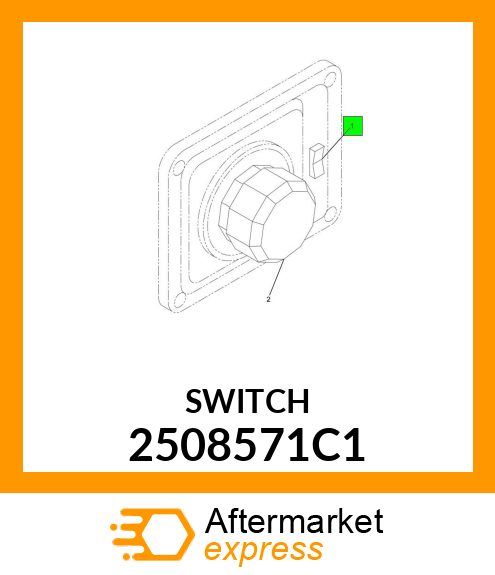 SWITCH 2508571C1