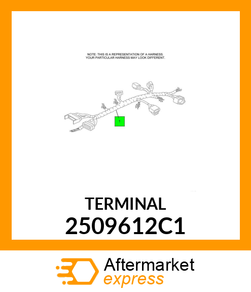 TERMINAL 2509612C1