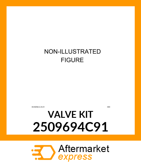 VALVEKIT 2509694C91