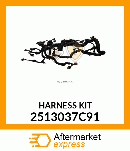 HARNESS_KIT 2513037C91