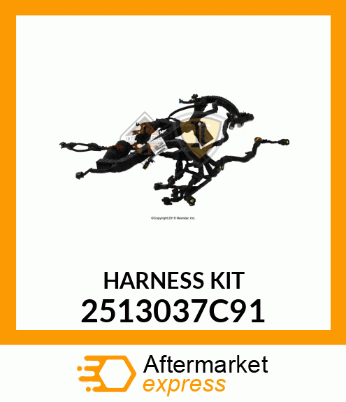 HARNESS_KIT 2513037C91