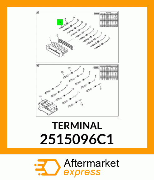 TERMINAL 2515096C1