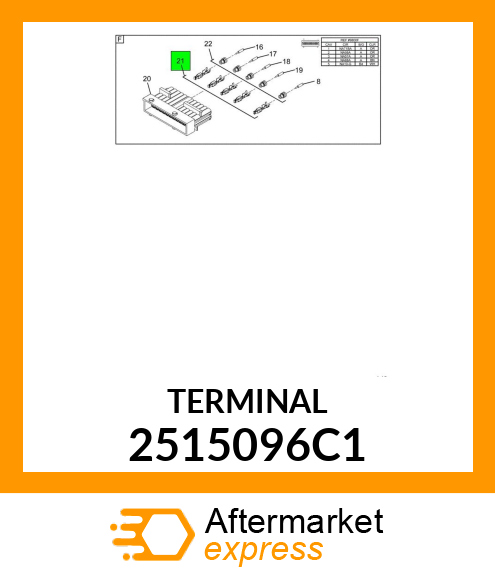 TERMINAL 2515096C1