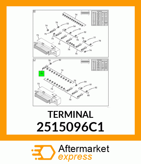 TERMINAL 2515096C1