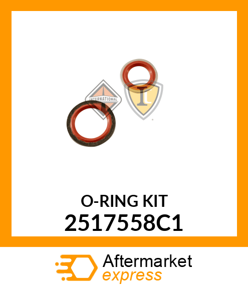 O-RING_KIT 2517558C1