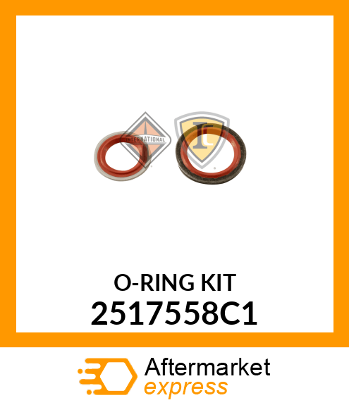 O-RING_KIT 2517558C1