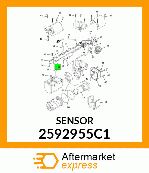 SENSOR 2592955C1