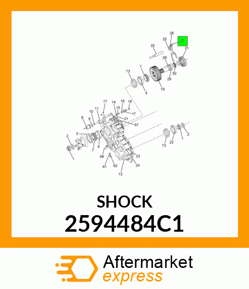 SHOCK 2594484C1