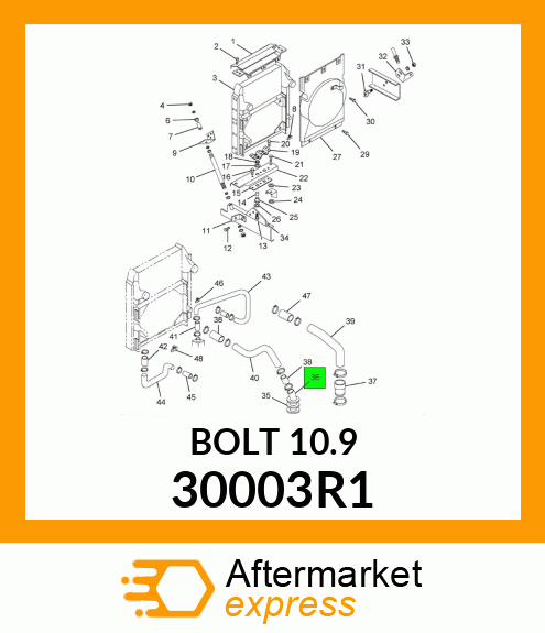 BOLT10.9 30003R1