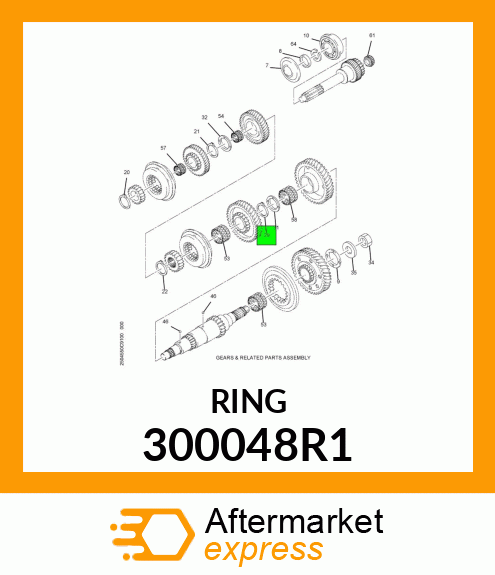 RING 300048R1