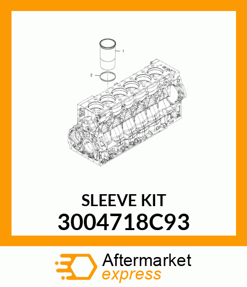 SLEEVE,KIT_CYLI 3004718C93