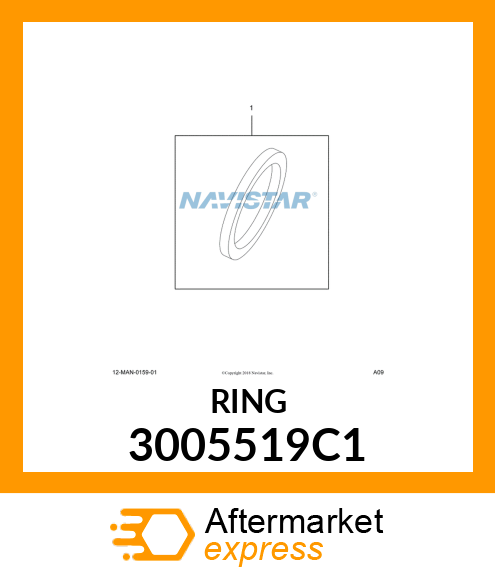 RING 3005519C1