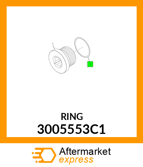 RING 3005553C1