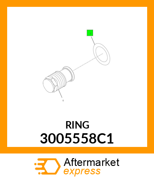 RING 3005558C1