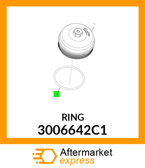 RING 3006642C1