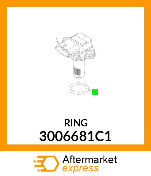 RING 3006681C1