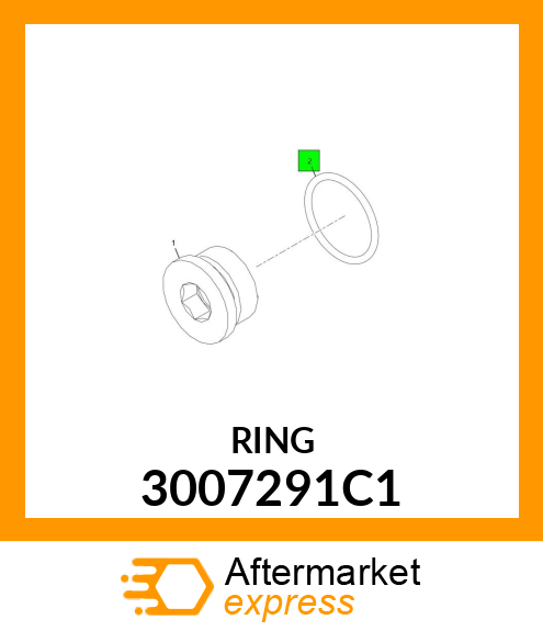 RING 3007291C1