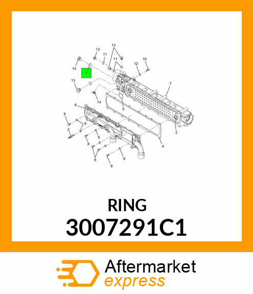 RING 3007291C1