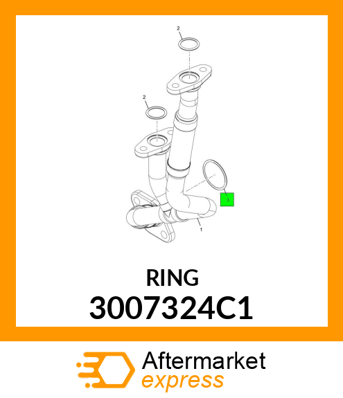 RING 3007324C1