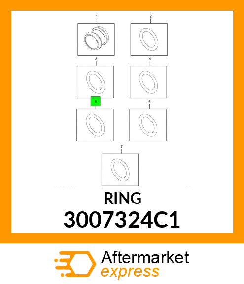 RING 3007324C1