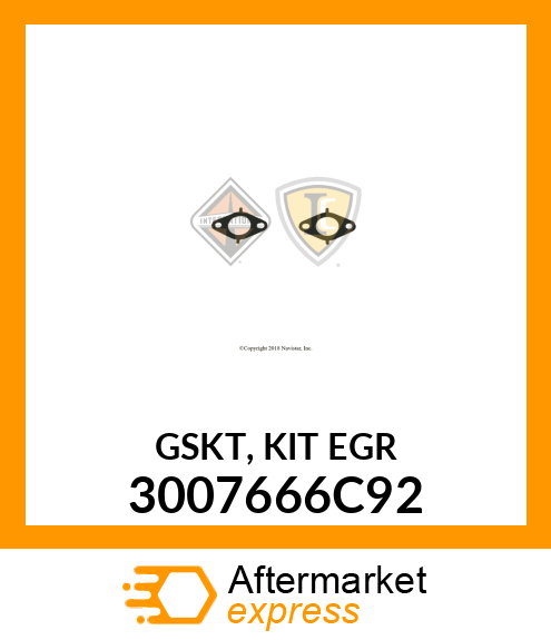 GASKET 3007666C92