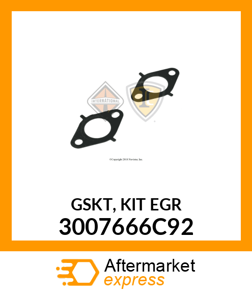 GASKET 3007666C92