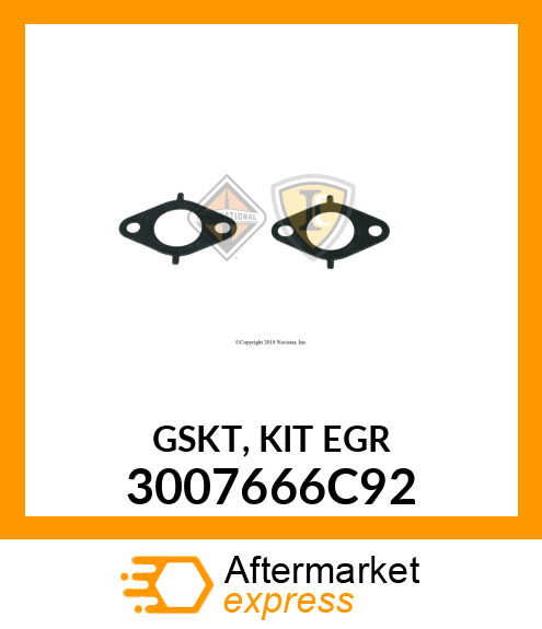 GASKET 3007666C92