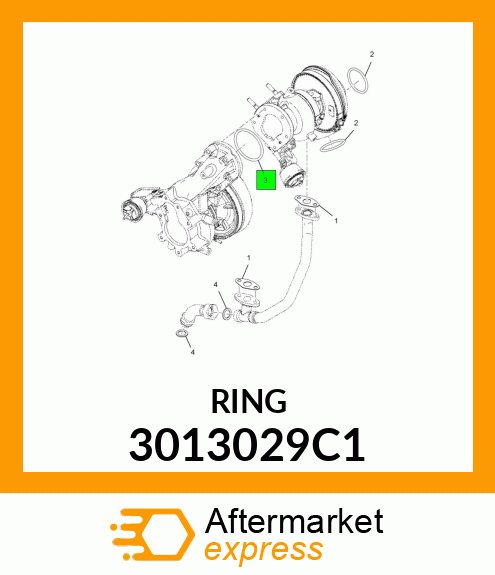 RING 3013029C1