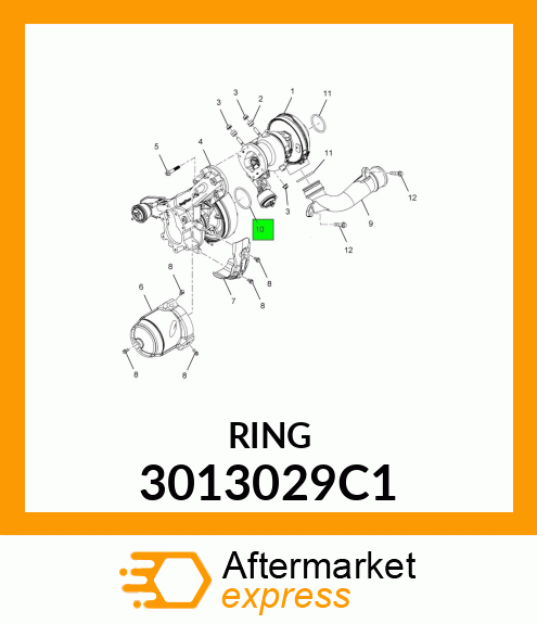 RING 3013029C1