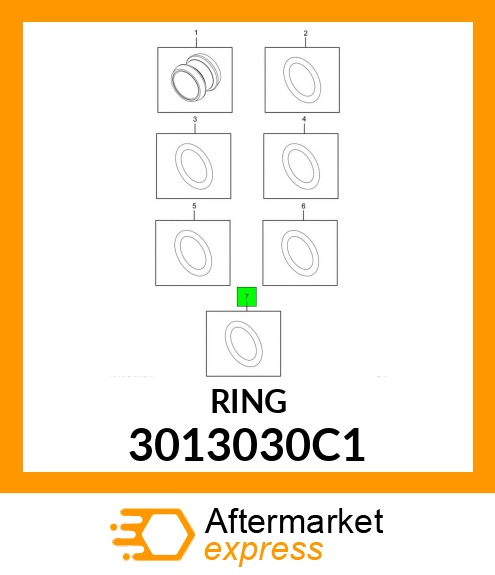 RING 3013030C1