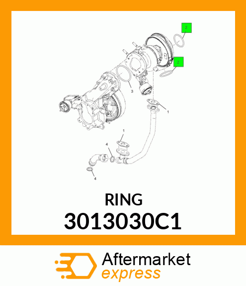 RING 3013030C1