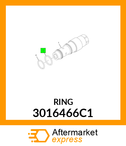 RING 3016466C1