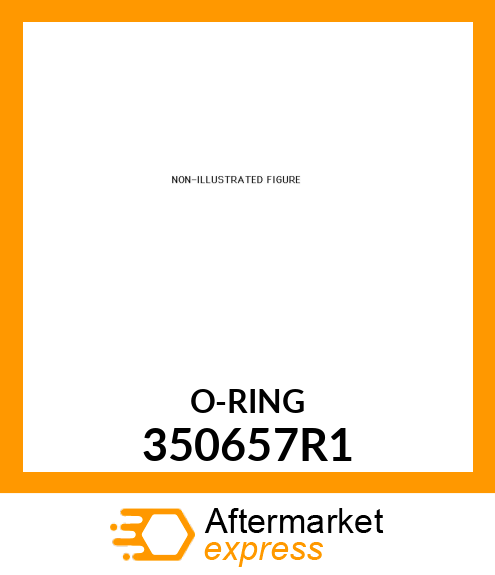 O-RING 350657R1