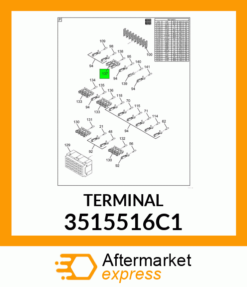 TERMINAL 3515516C1