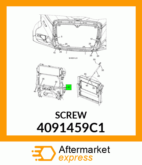 SCREW 4091459C1