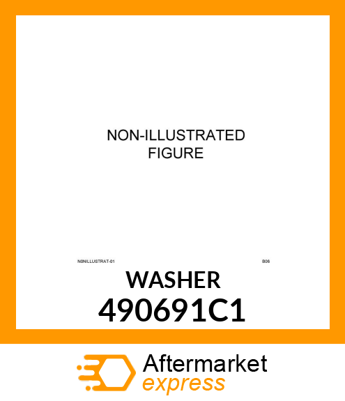 WASHER 490691C1